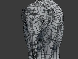 young asian elephant 3D Model