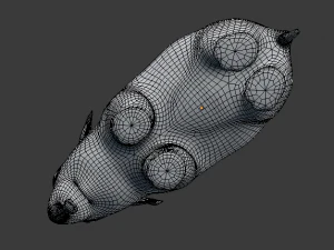 young asian elephant 3D Model