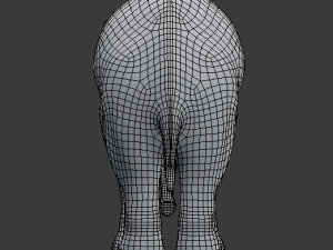 young asian elephant 3D 모델