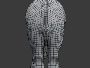 young asian elephant 3D Model