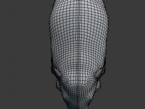 young asian elephant 3D 모델