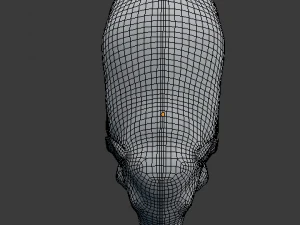 young asian elephant 3D Model