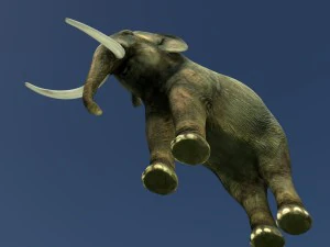 indian elephant 3D Model