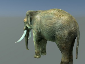 indian elephant 3D Модель