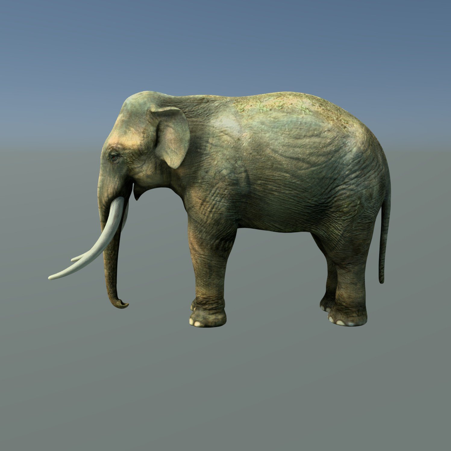 Elefant 3d model. Слон 3d модель. Подвижный слон 3d модель. Денди слон 3d модель.