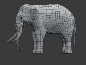 indian elephant 3D Model