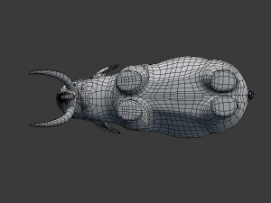 indian elephant 3D Модель