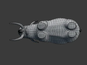 indian elephant 3D Model