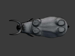 indian elephant 3D Модель