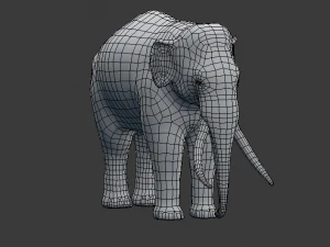 indian elephant 3D Model
