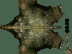 indian elephant 3D Model