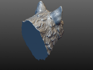 wolf head Model 3D