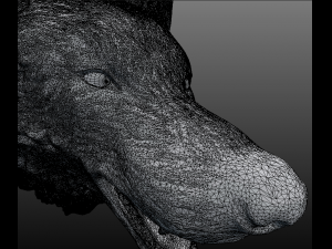 wolf head Model 3D