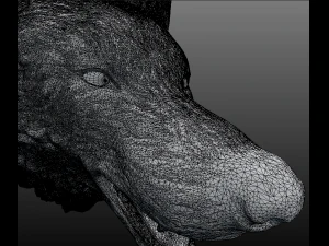 wolf head 3D Model