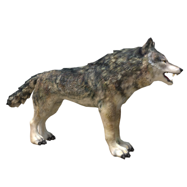 wolf Modello 3D .c4d .max .obj .3ds .fbx .stl .blend 