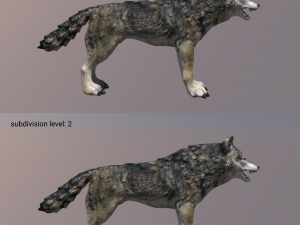 wolf Modello 3D