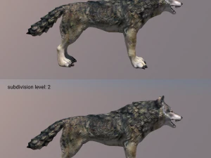 wolf 3D Model