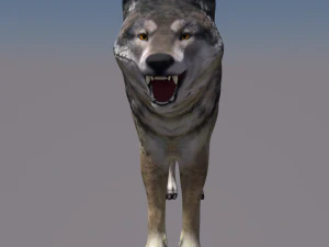 wolf 3D Model