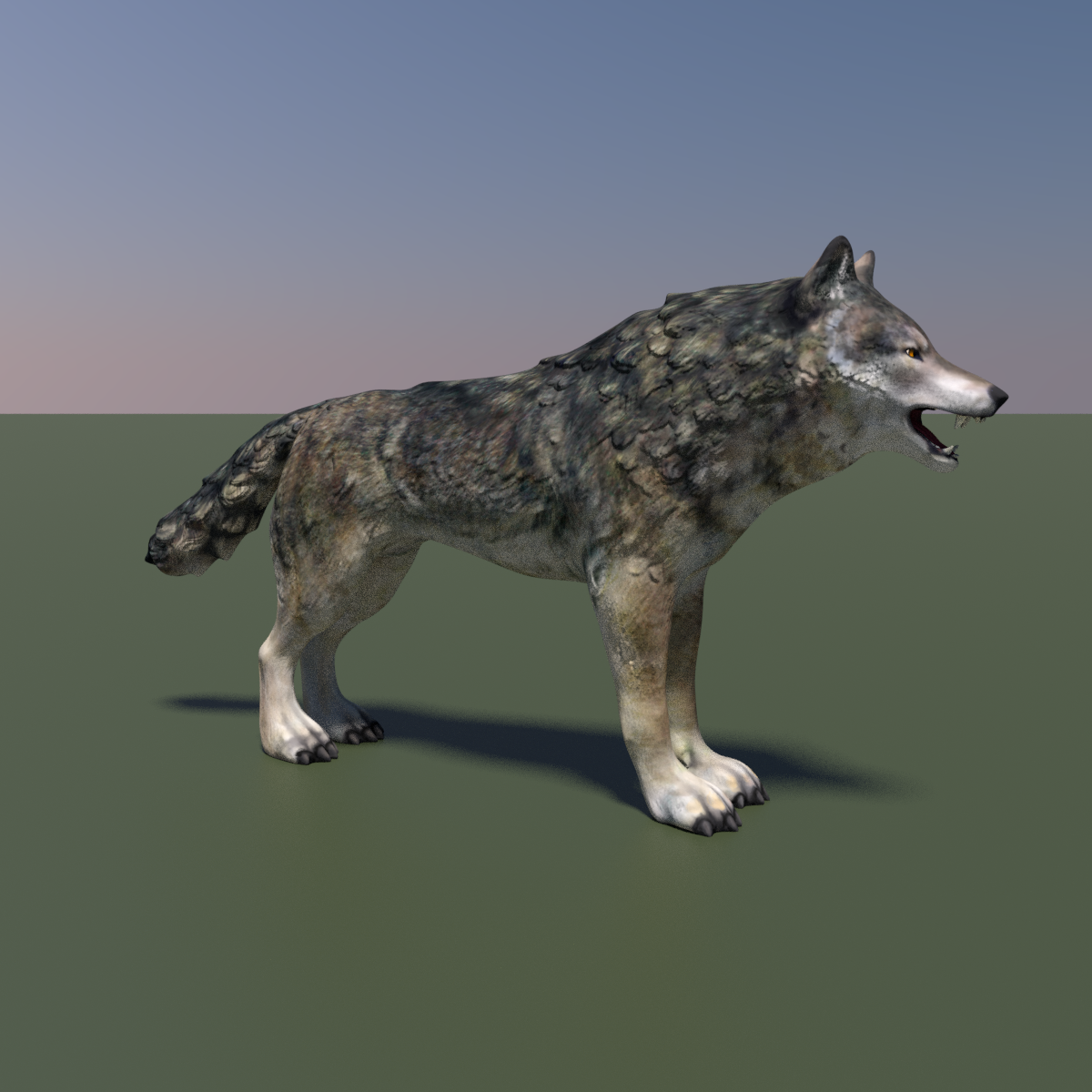 Wolf models. Модель волка. Волк 3d. Волк 3d СМИТРА. 3d Wolf модель.