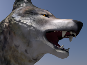 wolf Modello 3D