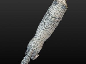 wolf Modello 3D