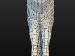 wolf Modello 3D