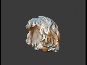 curly hair 3D Print Model