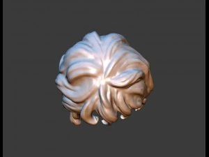 curly hair 3D Print Model