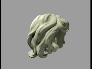 curly hair 3D Print Model