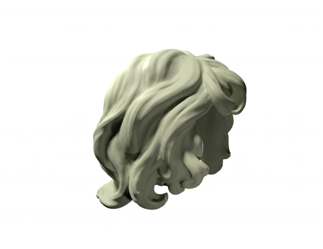 curly hair 3D Print Model in Other 3DExport