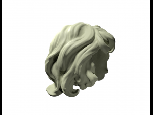 curly hair 3D Print Model