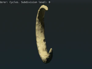crescent 2 3D Model