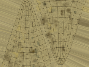 crescent 2 Modelo 3D