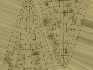 crescent 2 3D Model
