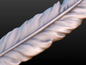 feather 3D Print Model