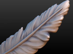 feather 3D Print Model