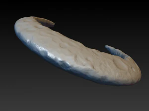 hilal 3D Baskı Modeli