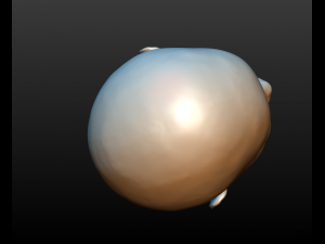 head of little girl 3D 프린트 모델