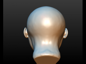 head of little girl 3D 프린트 모델