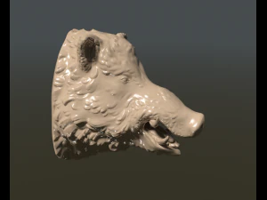 boars head 3D Print Model