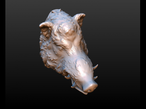 boars head 3D Принт Модель