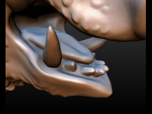 boars head 3D Print Model