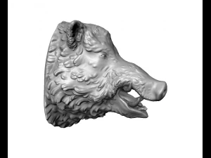 boars head 3D Print Model