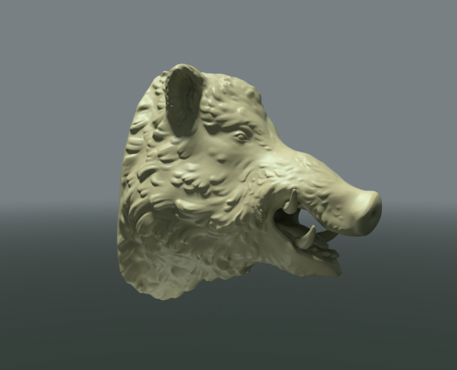 boars head 3D Принт Модель .c4d .max .obj .3ds .fbx .stl .blend 