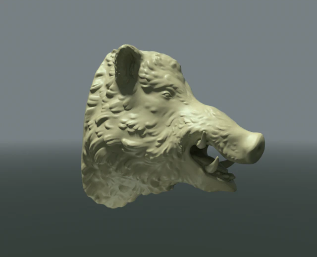 boars head 3D Print Model .c4d .max .obj .3ds .fbx .stl .blend 