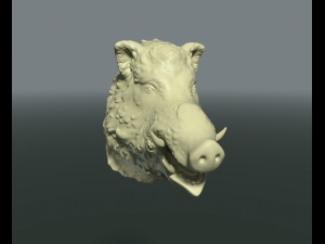 boars head 3D Принт Модель