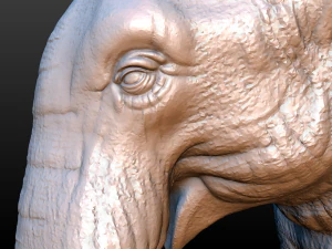 elephant high poly 3D Print Model