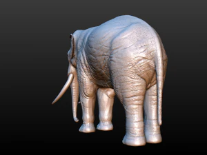 elephant high poly 3D Print Model