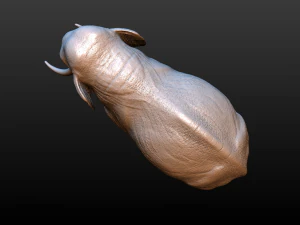 elephant high poly 3D Print Model