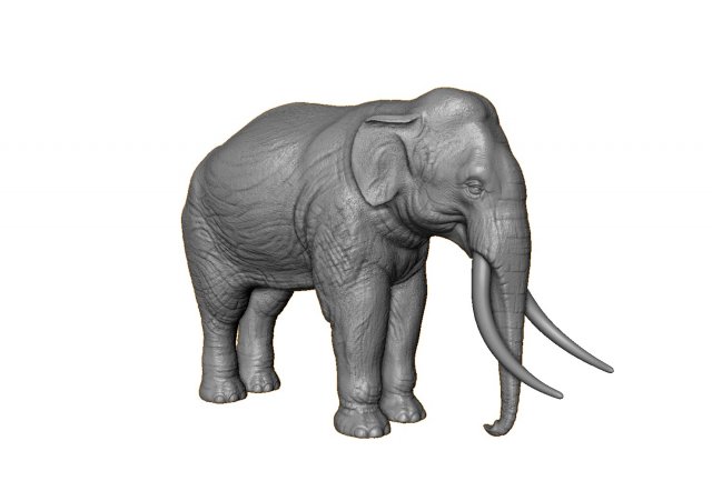 elephant high poly 3D Print Model .c4d .max .obj .3ds .fbx .lwo .lw .lws